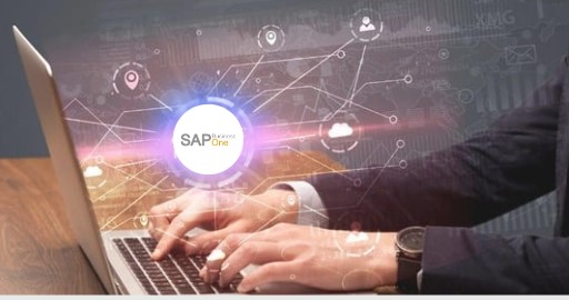 SAP B1 Add-ons & Modules Guide 2024